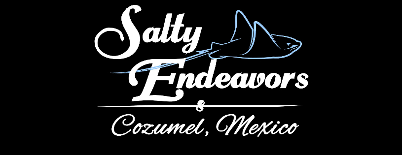 Aqua Safari | Pier Pick-Up Locations in Cozumel - Salty Endeavors